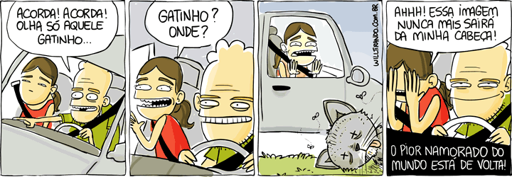 Olha-o-Gatinho