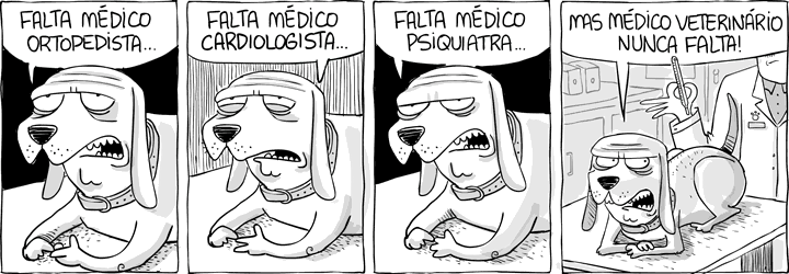 VIVAINTENSAMENTE-FALTA-MÉDICOS-VETERINÁRIOS.png