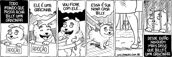 Adoção de cães