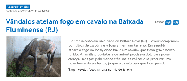 cavalo_noticia.png