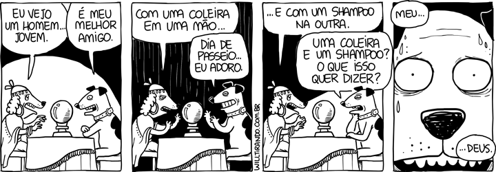 cigana cão cachorro bola de cristal animal banho coleira shampoo dedução medo vidente amigo