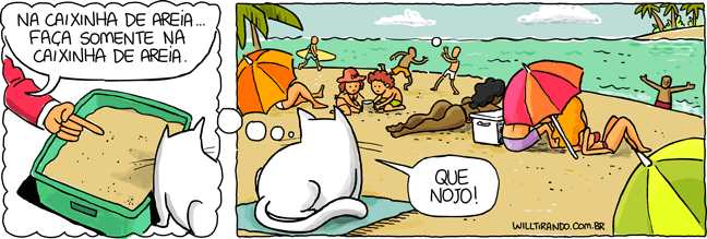 gato praia caixinha de areia necessidades nojo humanos