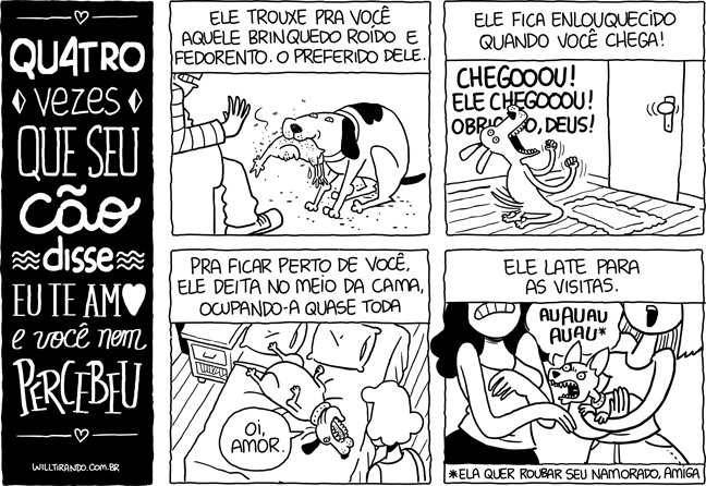 cão cachorro donos casa amor afeto brinquedo fedorento felicidade alegria cama amizade amigo latido latir amiga