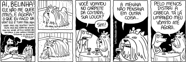 cão cachorro cadelas triste choro chorando mesa conversa bebida lamentação vômito vomitar