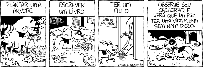 cão cachorro vida plena plantar árvore escrever livro ter filho homem felicidade plenitude