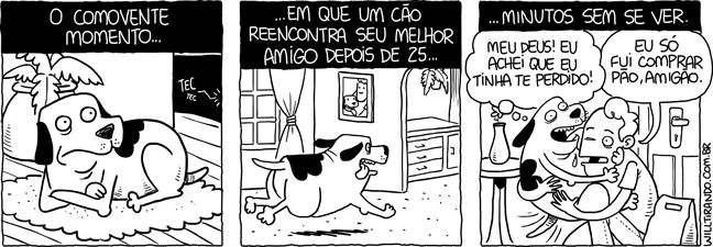 euforia cão cachorro felicidade amigo retorno reencontro sair voltar lamber alegria