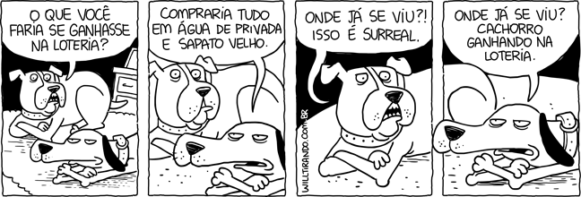 cão cachorro loteria planos surreais água de privada sapato velho